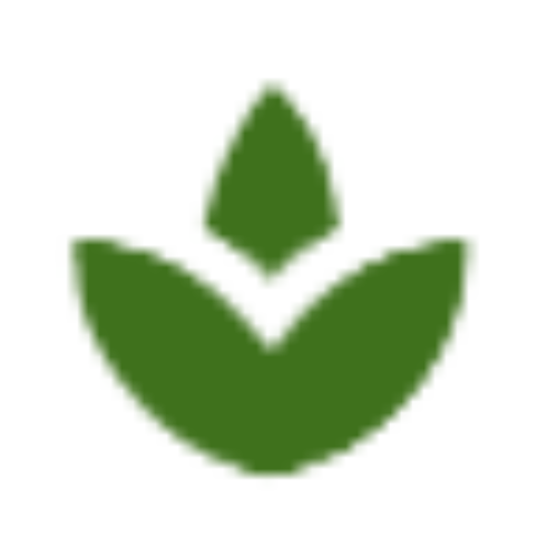 Dark green leaf icon