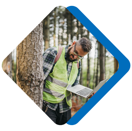 Man With Laptop Assessing A Tree